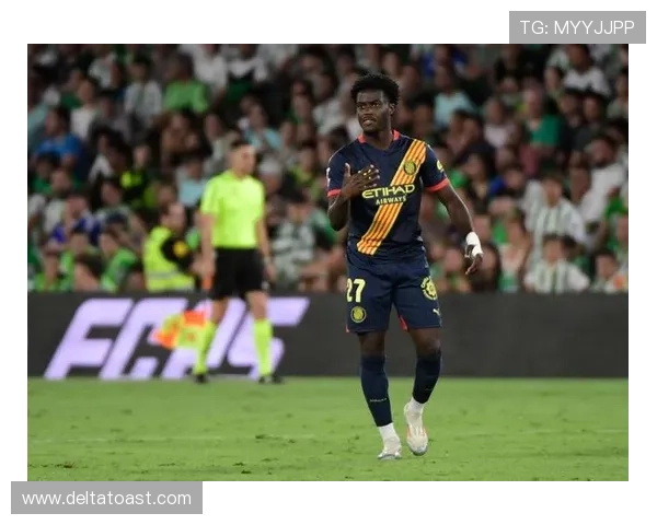 费内巴切在欧洲赛场表现稳健，持续展现强大实力与竞争力。